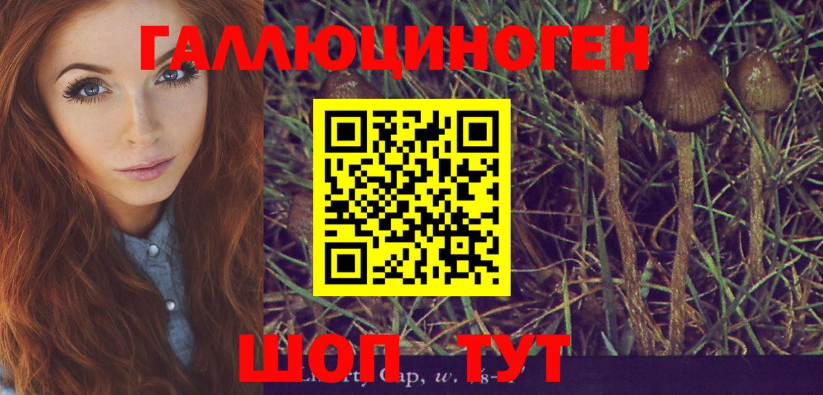 Владикавказ  купить наркотик  Вход с VPN  Псилоцибиновые грибы мухоморы 