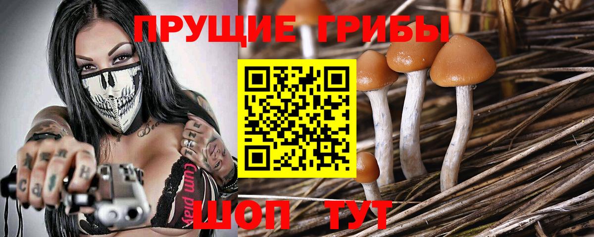 Галлюциногенные грибы мицелий Владикавказ